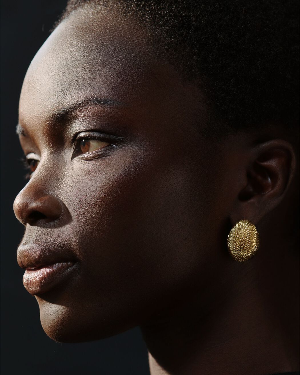 The Hérisson earrings jacquemus the h risson earrings